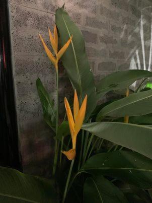 Hotel My Cang Tra Vinh ภายนอก รูปภาพ